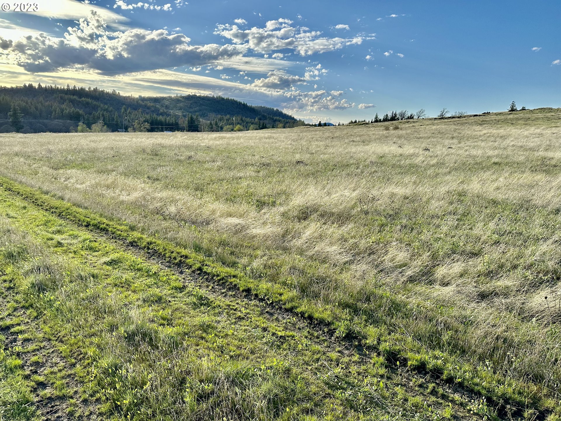 1310 Scale House Road Goldendale, WA 98620 - Photo 5 of 22 View