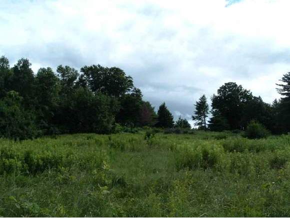 Lot Wilson Road Wilton, NH 03086 - Photo 1 of 1