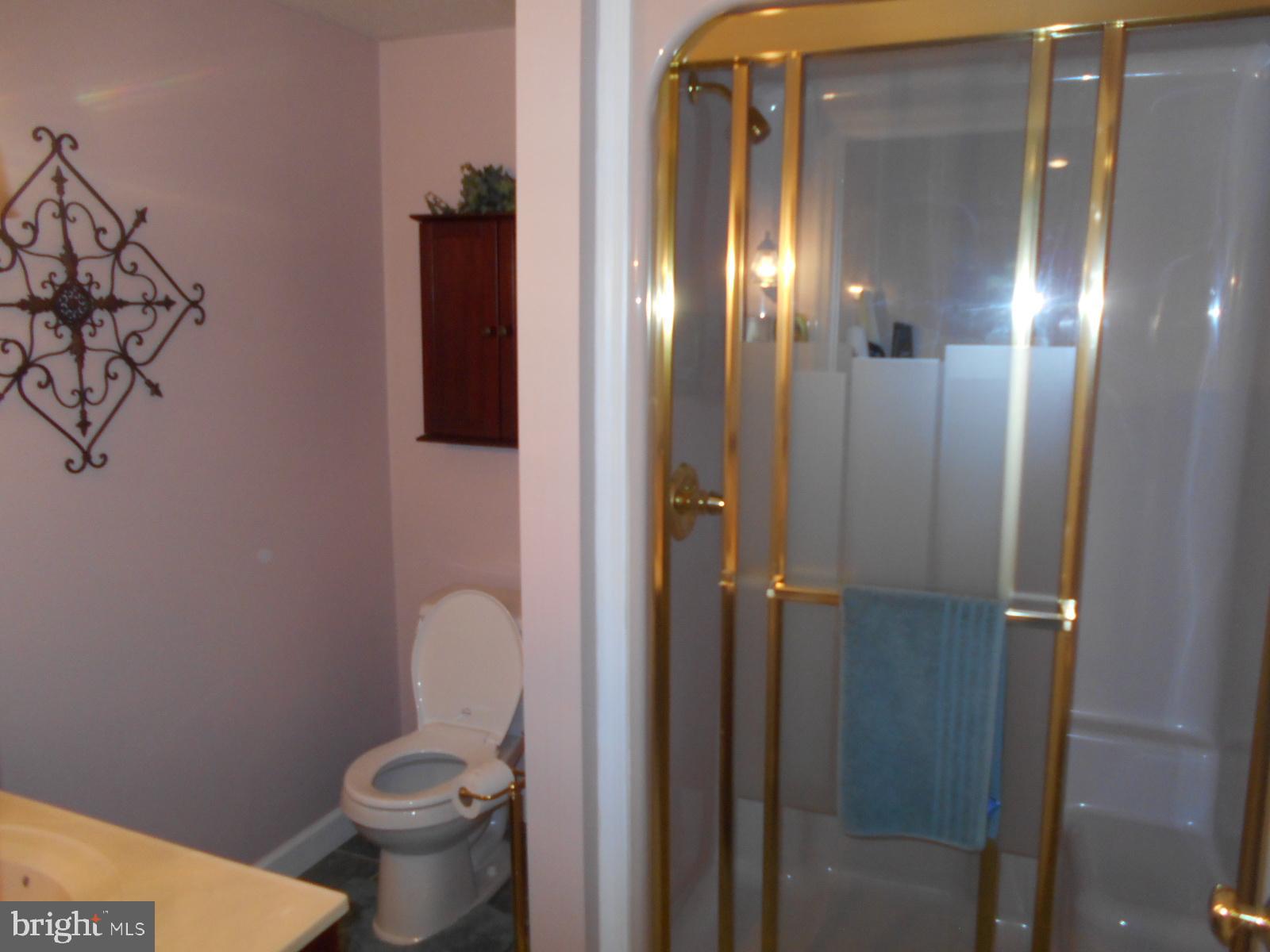 10 Royal Court Reading, PA 19607 - Photo 25 of 36 Full Bathroom Basement Level - Steam Shower