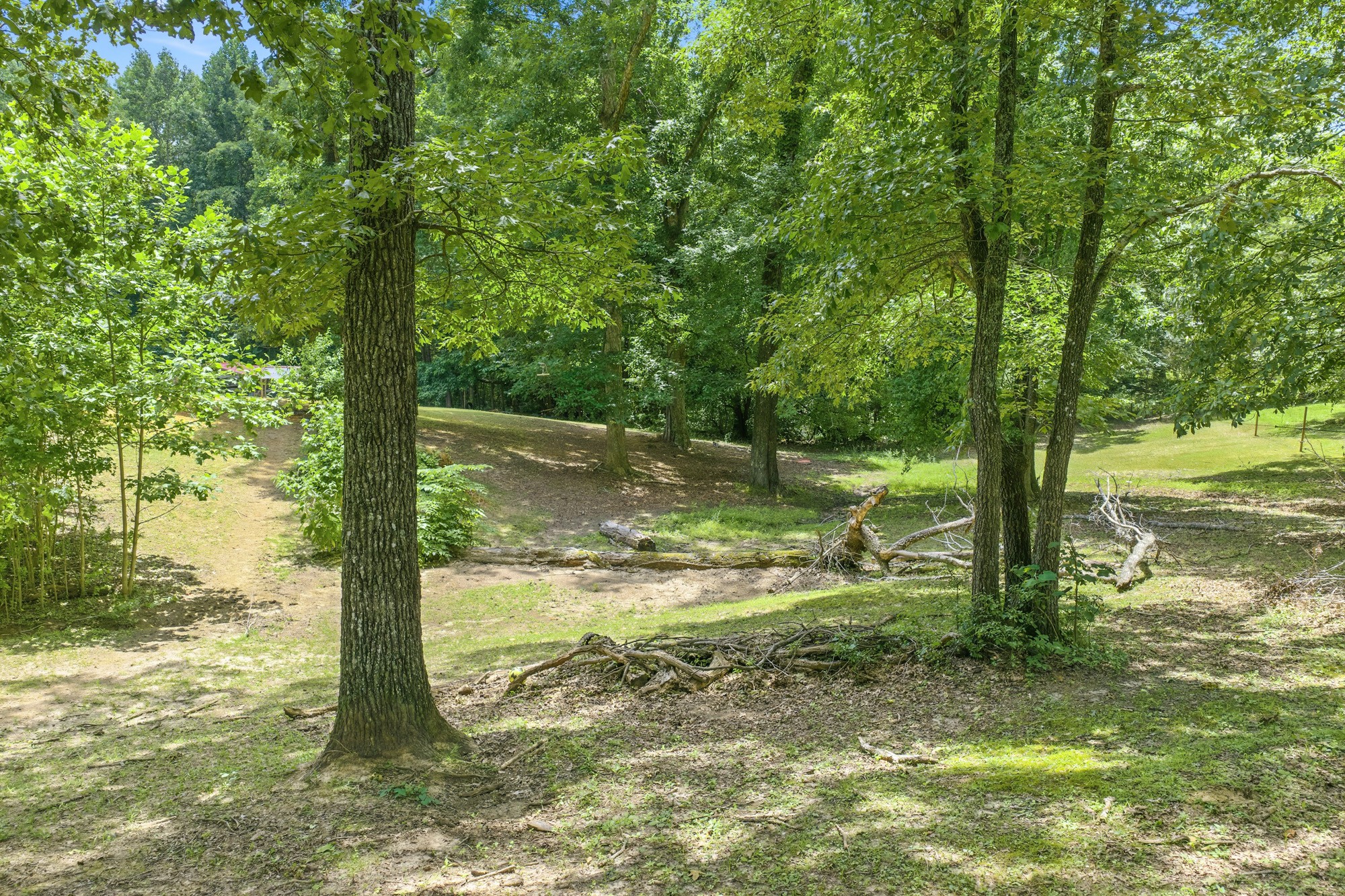 38 Doe Creek Road Sardis, TN 38371 - Photo 35 of 41