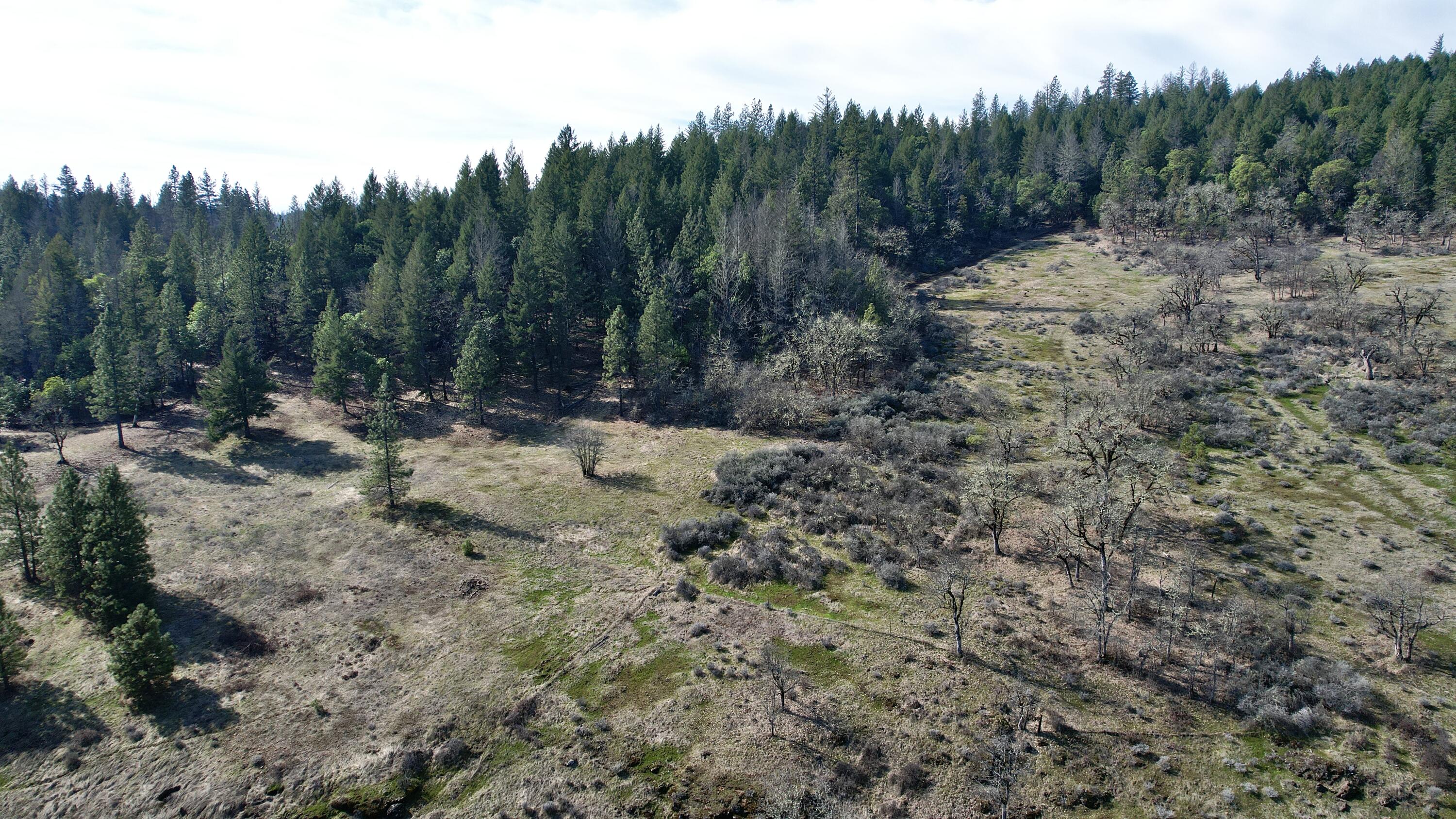 815 Old Trail Creek Road Trail, OR 97541 - Photo 41 of 55 Acreage Behind Home