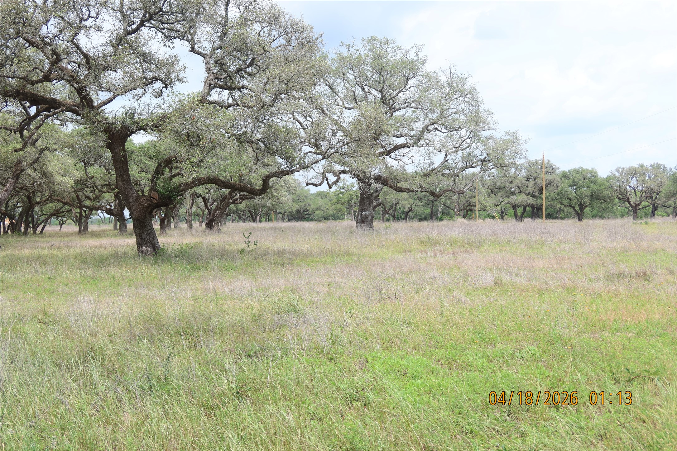 Na Railhead Road Columbus, TX 78934 - Photo 6 of 18