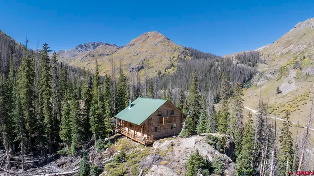 a view of a dry yard with trees