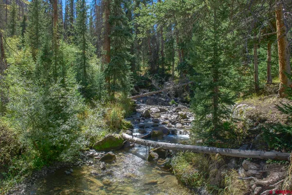 $1,100,000 | 19000 Hinsdale County 30 Road, Lake City, CO 81235