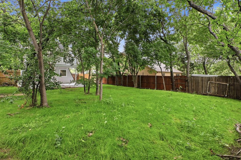 716 Lakeland Road Lake Dallas, TX 75065 - Photo 25 of 31 a view of a yard with a large tree