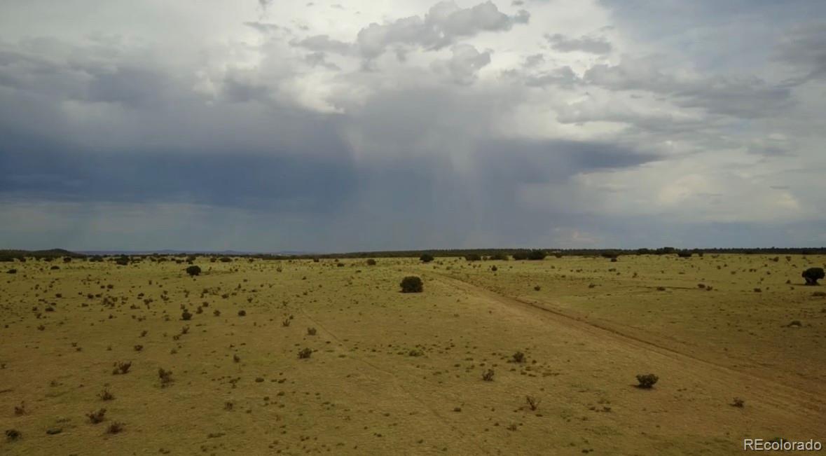 Lot 3 Tioga Ranch Walsenburg, CO 81089 - Photo 6 of 10