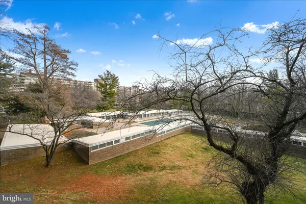 a view of a yard with a tree