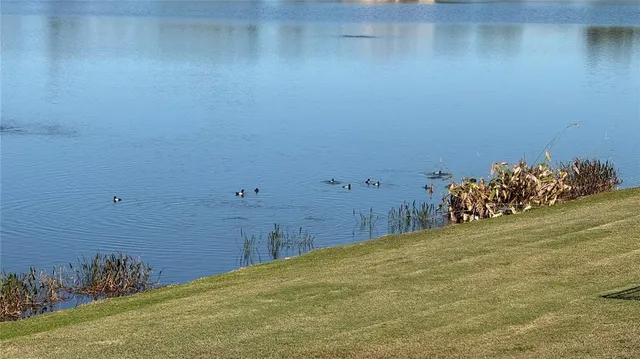 $645,000 | 5457 Sandy Shell Drive, Apollo Beach, FL 33572