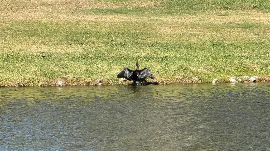 5457 Sandy Shell Drive Apollo Beach, FL 33572 - Photo 78 of 80