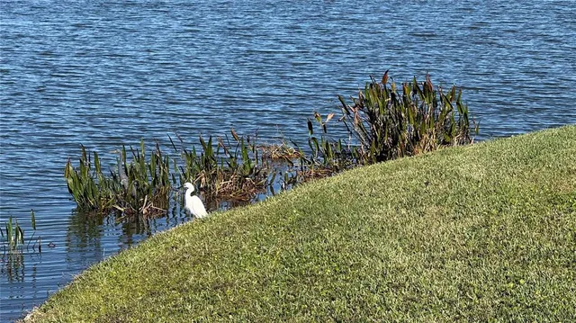 $645,000 | 5457 Sandy Shell Drive, Apollo Beach, FL 33572