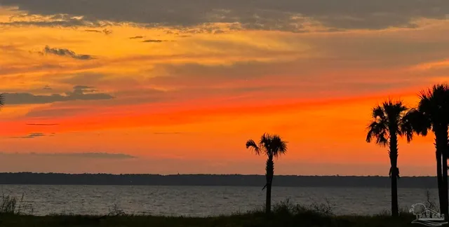 a hallway with front door wooden floor and windows