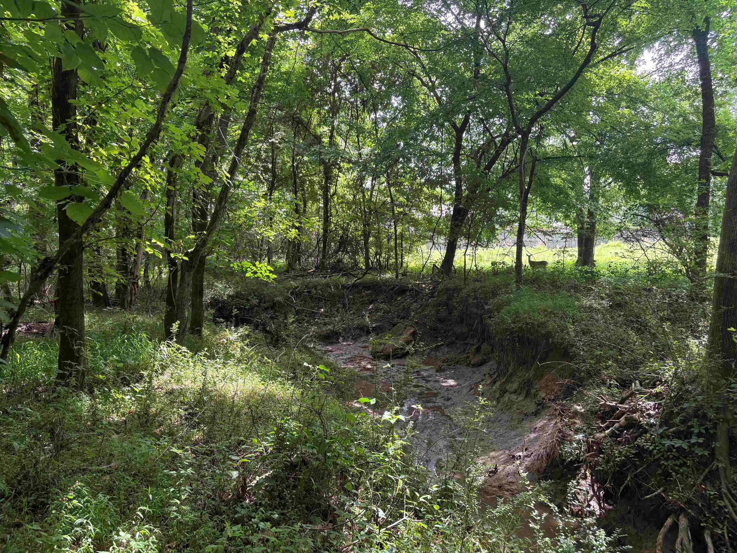 0 Billy Maher Road Bartlett, TN 38135 - Photo 15 of 19