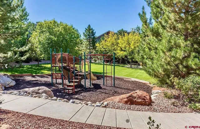 a view of a park with large trees