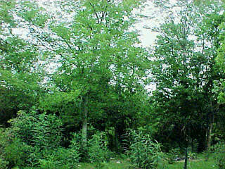 1714 Fairview Road Lawrenceburg, KY 40342 - Photo 7 of 7 Photo 7
