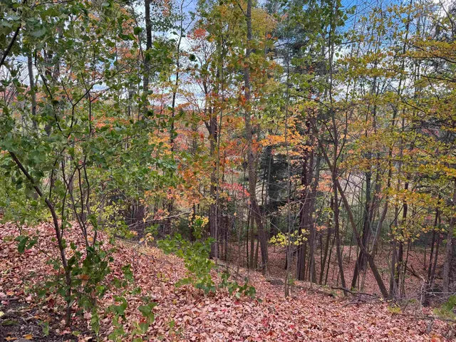 $74,900 | W1069 Cth Street, Niagara, WI 54151