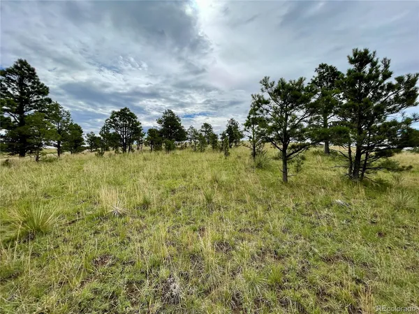 $244,900 | 32011 Cattle Circle, Ramah, CO 80832