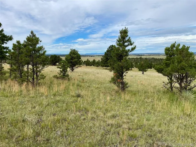 $244,900 | 32011 Cattle Circle, Ramah, CO 80832
