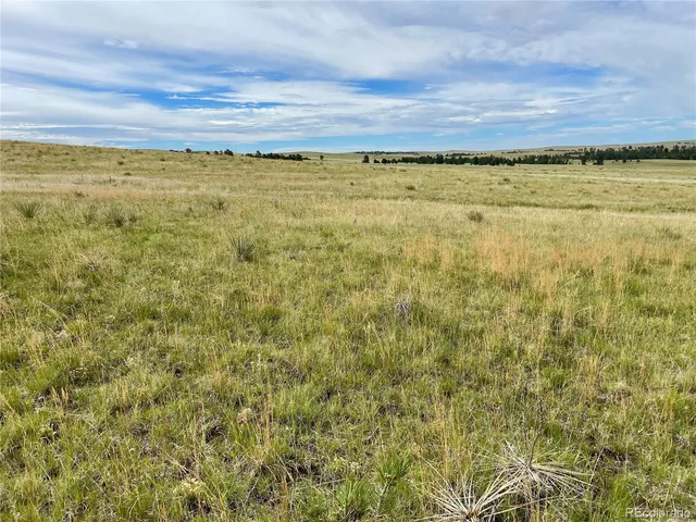 $244,900 | 32011 Cattle Circle, Ramah, CO 80832