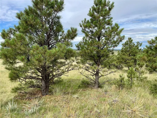 $244,900 | 32011 Cattle Circle, Ramah, CO 80832