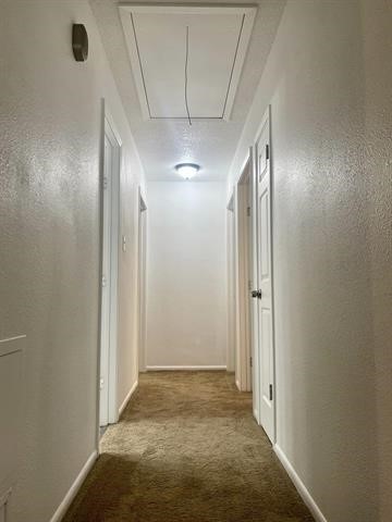 9530 Cumberland Drive Beaumont, TX 77708 - Photo 16 of 21 Hallway