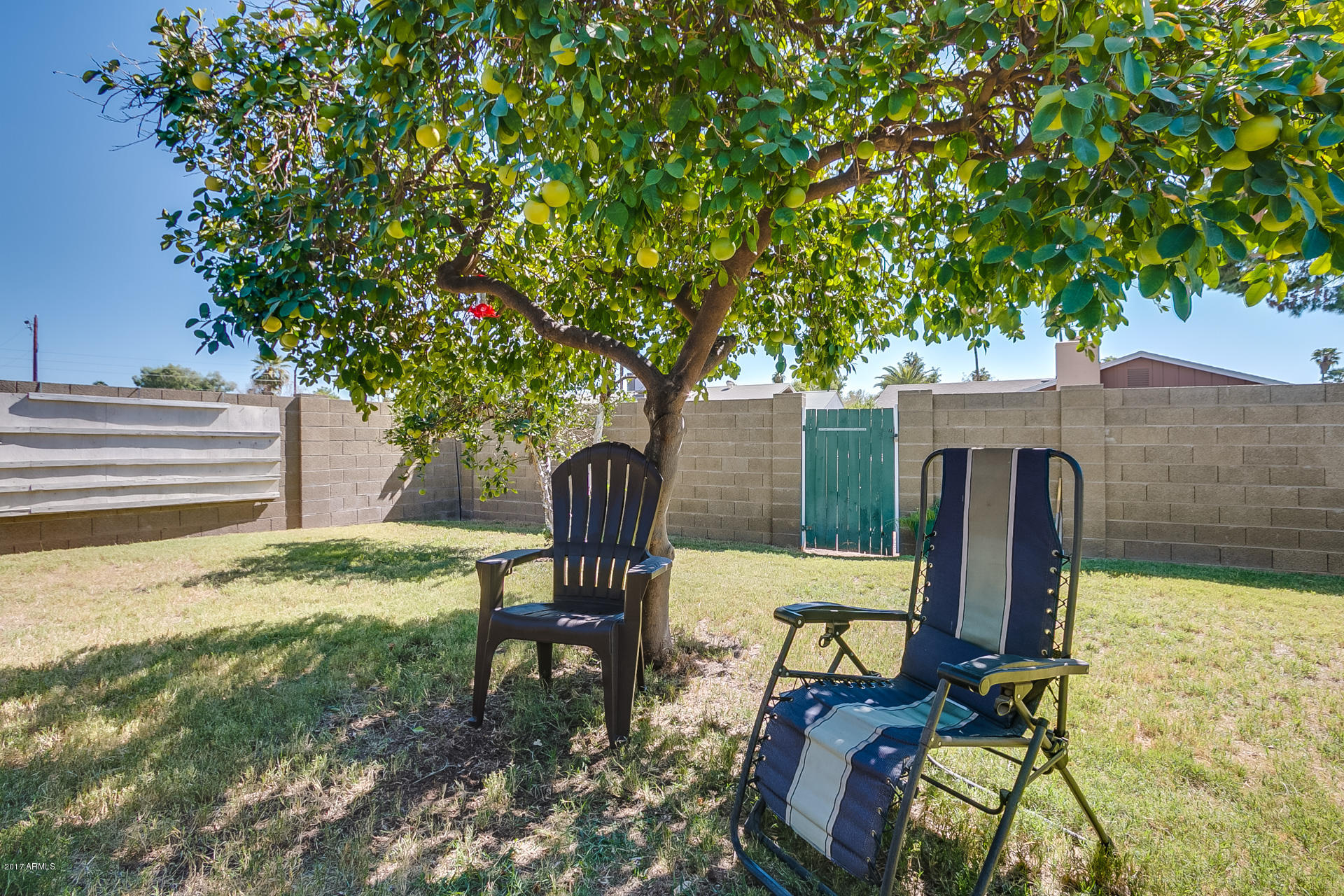 3113 West Shangri-la Road Phoenix, AZ 85029 - Photo 38 of 38 Shangri La-39
