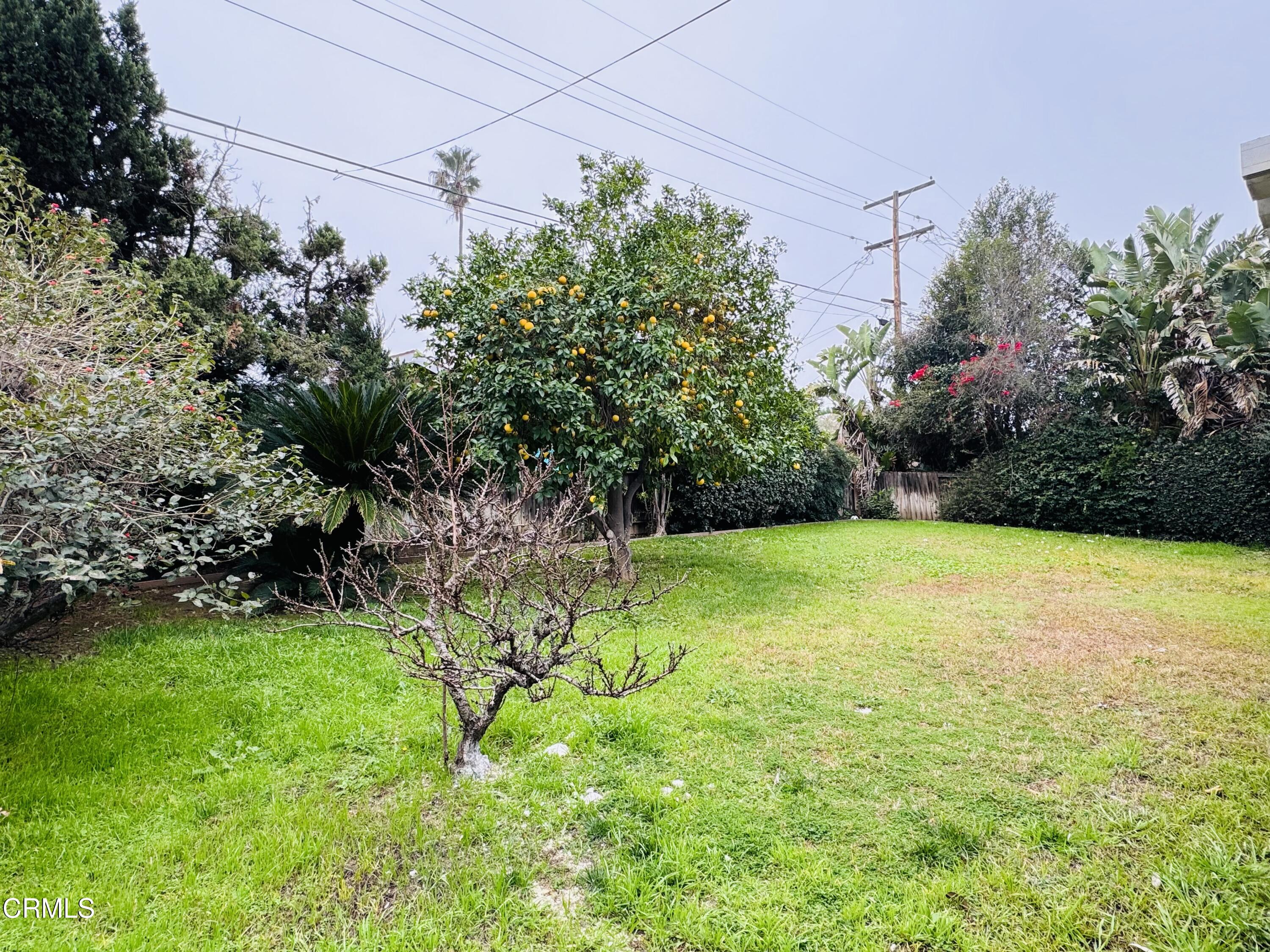 5264 Greenbrier Drive Riverside, CA 92504 - Photo 15 of 16 IMG_5462