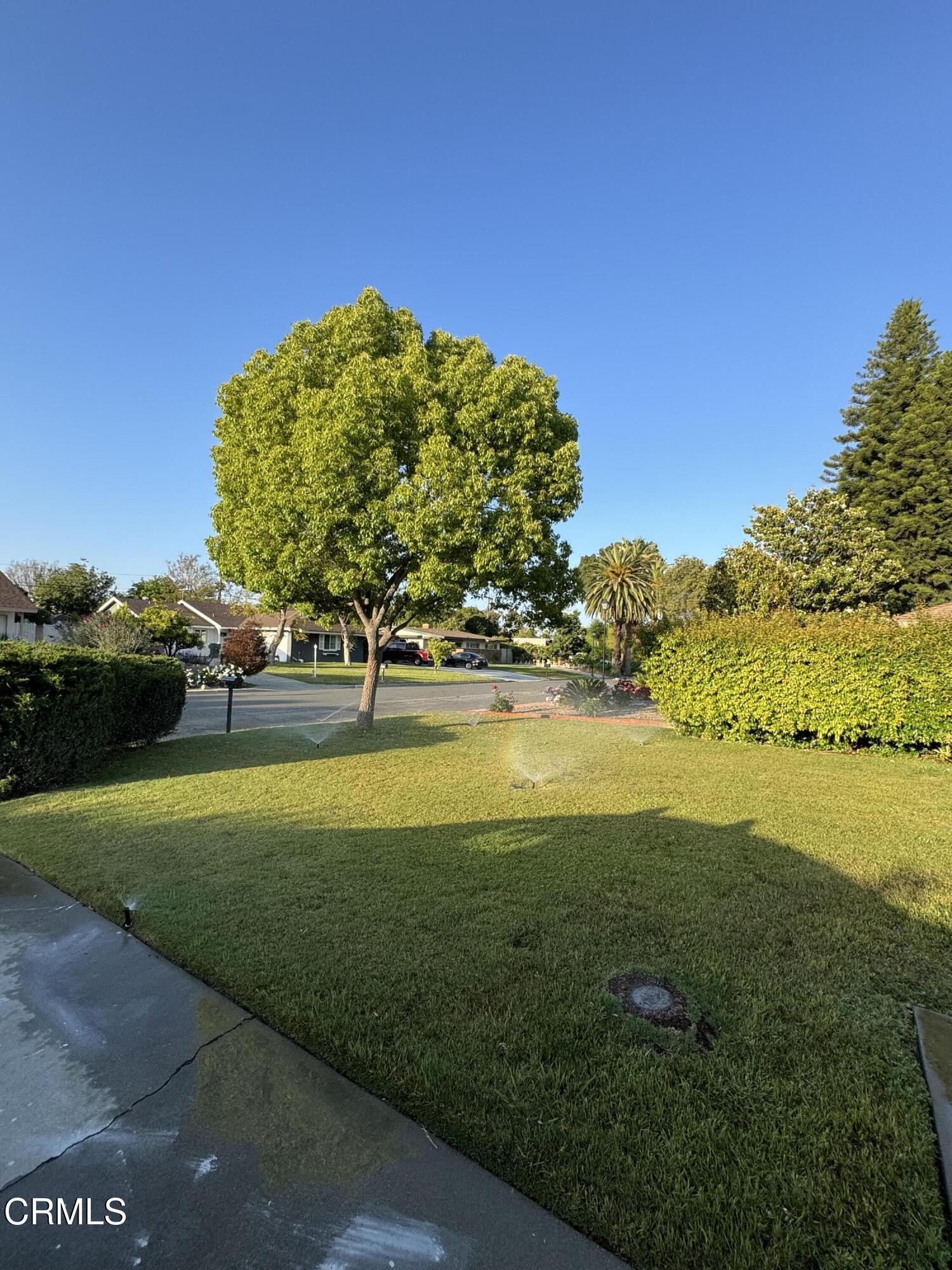 5264 Greenbrier Drive Riverside, CA 92504 - Photo 16 of 16 IMG_7416