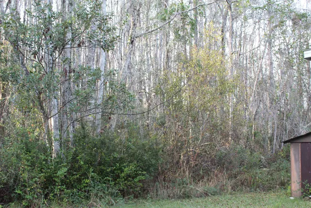 $125,000 | 863 Northwest Whippoorwill Drive, Greenville, FL 32331