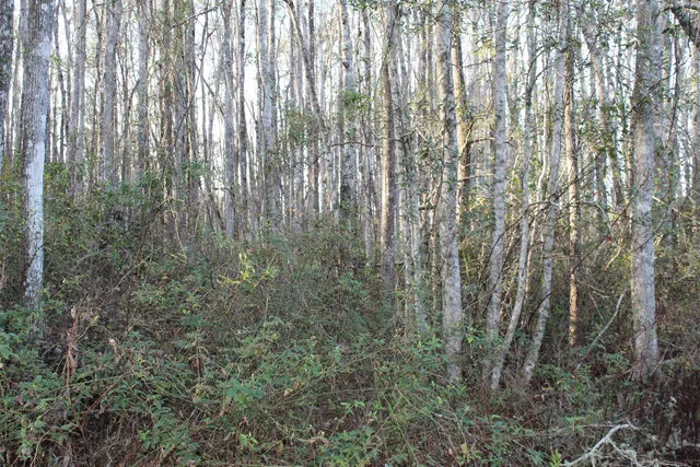 $125,000 | 863 Northwest Whippoorwill Drive, Greenville, FL 32331