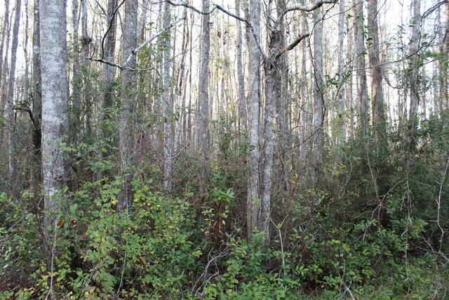 $125,000 | 863 Northwest Whippoorwill Drive, Greenville, FL 32331