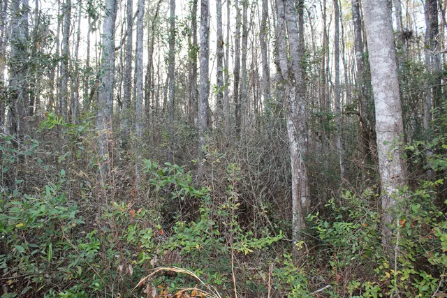 $125,000 | 863 Northwest Whippoorwill Drive, Greenville, FL 32331