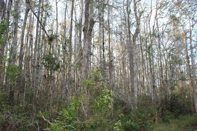 $125,000 | 863 Northwest Whippoorwill Drive, Greenville, FL 32331