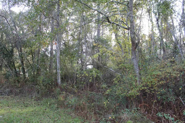 $125,000 | 863 Northwest Whippoorwill Drive, Greenville, FL 32331