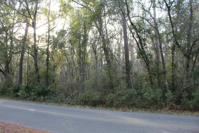 $125,000 | 863 Northwest Whippoorwill Drive, Greenville, FL 32331