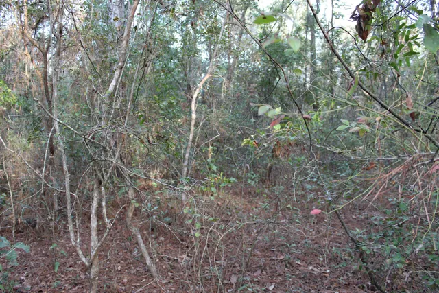 $125,000 | 863 Northwest Whippoorwill Drive, Greenville, FL 32331