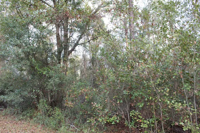 $125,000 | 863 Northwest Whippoorwill Drive, Greenville, FL 32331