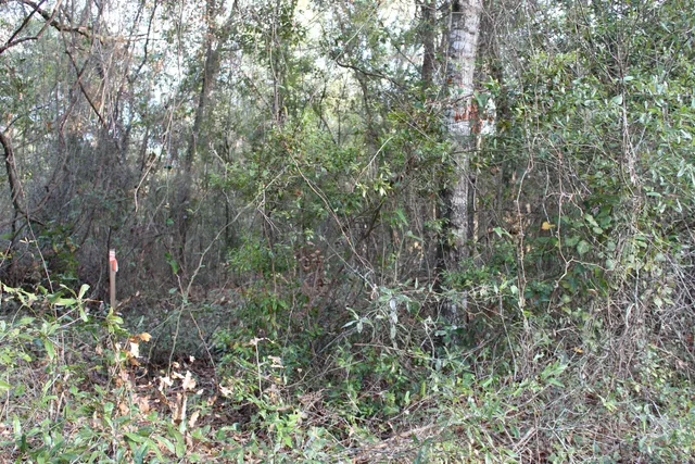 $125,000 | 863 Northwest Whippoorwill Drive, Greenville, FL 32331