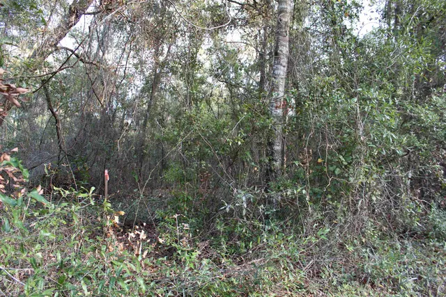 $125,000 | 863 Northwest Whippoorwill Drive, Greenville, FL 32331