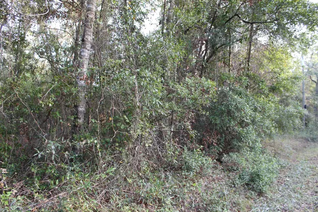 $125,000 | 863 Northwest Whippoorwill Drive, Greenville, FL 32331