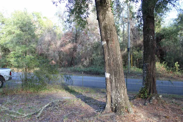 $125,000 | 863 Northwest Whippoorwill Drive, Greenville, FL 32331