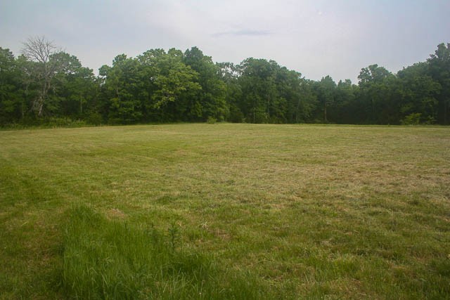 4793 Joe Peay Road Spring Hill, TN 37174 - Photo 13 of 22 Gallery Image 13