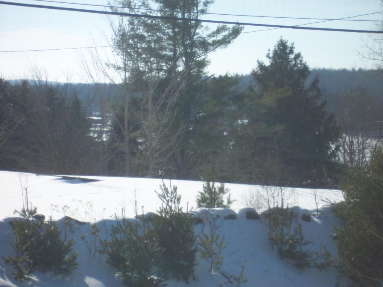 821 Peru Road Hinsdale, MA 01235 - Photo 10 of 11 view2
