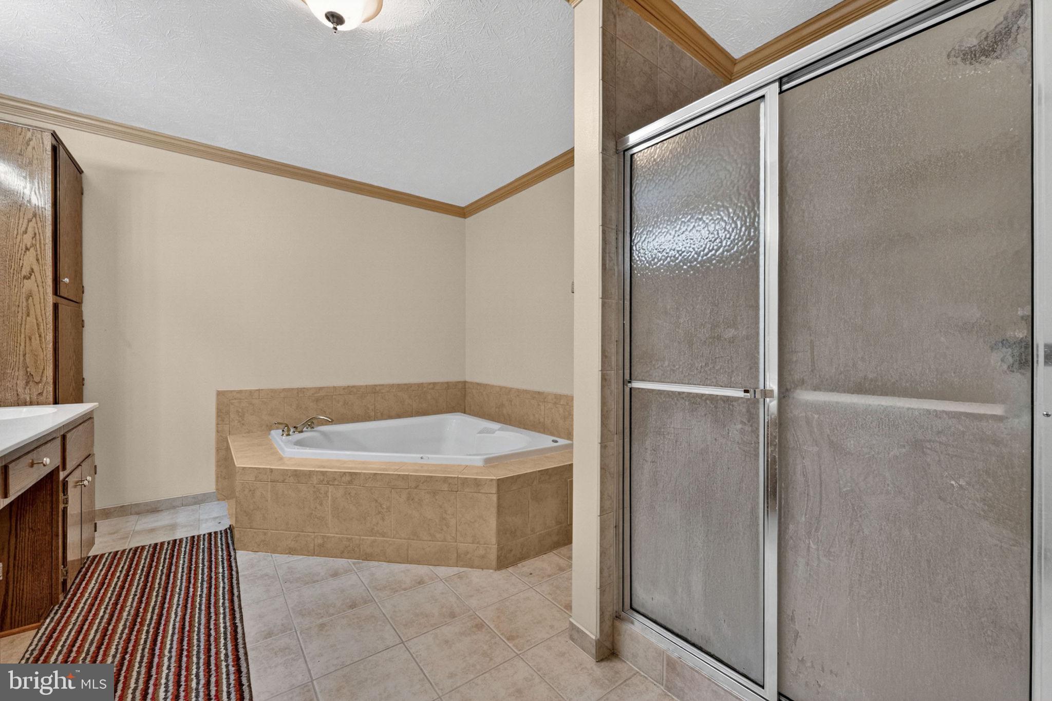 6315 Ida Road Stanley, VA 22851 - Photo 46 of 83 Primary En Suite Bathroom