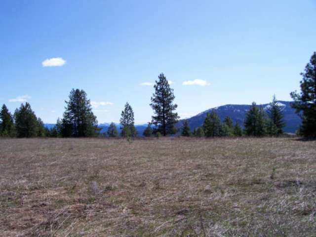 25-xx Addy-Gifford Road Addy, WA 99101 - Photo 1 of 3