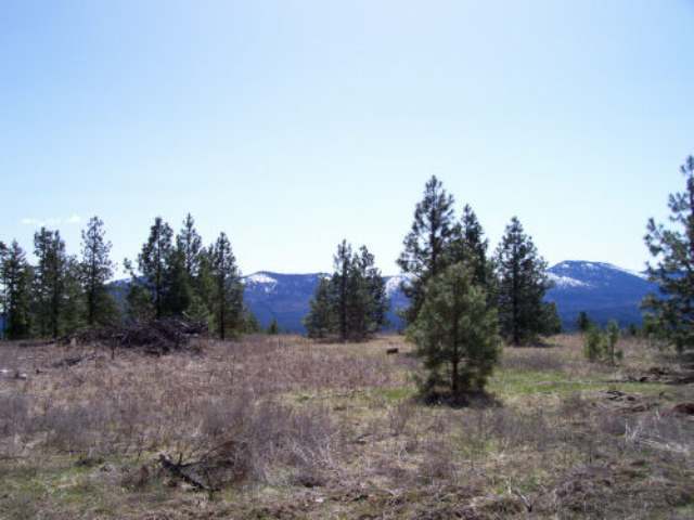 25-xx Addy-Gifford Road Addy, WA 99101 - Photo 3 of 3