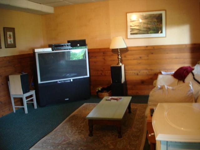 7270 Solonevich Road Roanoke, VA 24018 - Photo 18 of 20 Downstairs Family/Game Room