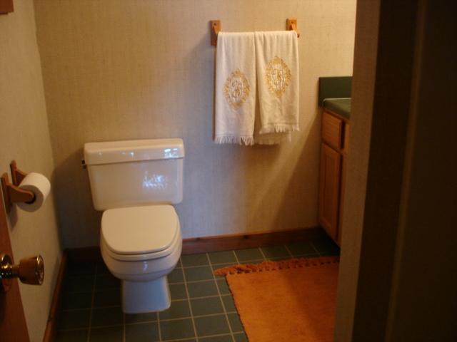 7270 Solonevich Road Roanoke, VA 24018 - Photo 20 of 20 Downstairs Bath