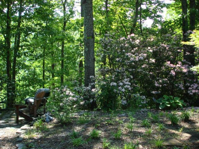 7270 Solonevich Road Roanoke, VA 24018 - Photo 5 of 20 Outside shot