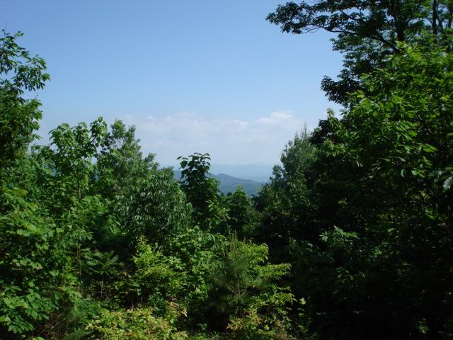 7270 Solonevich Road Roanoke, VA 24018 - Photo 7 of 20 View