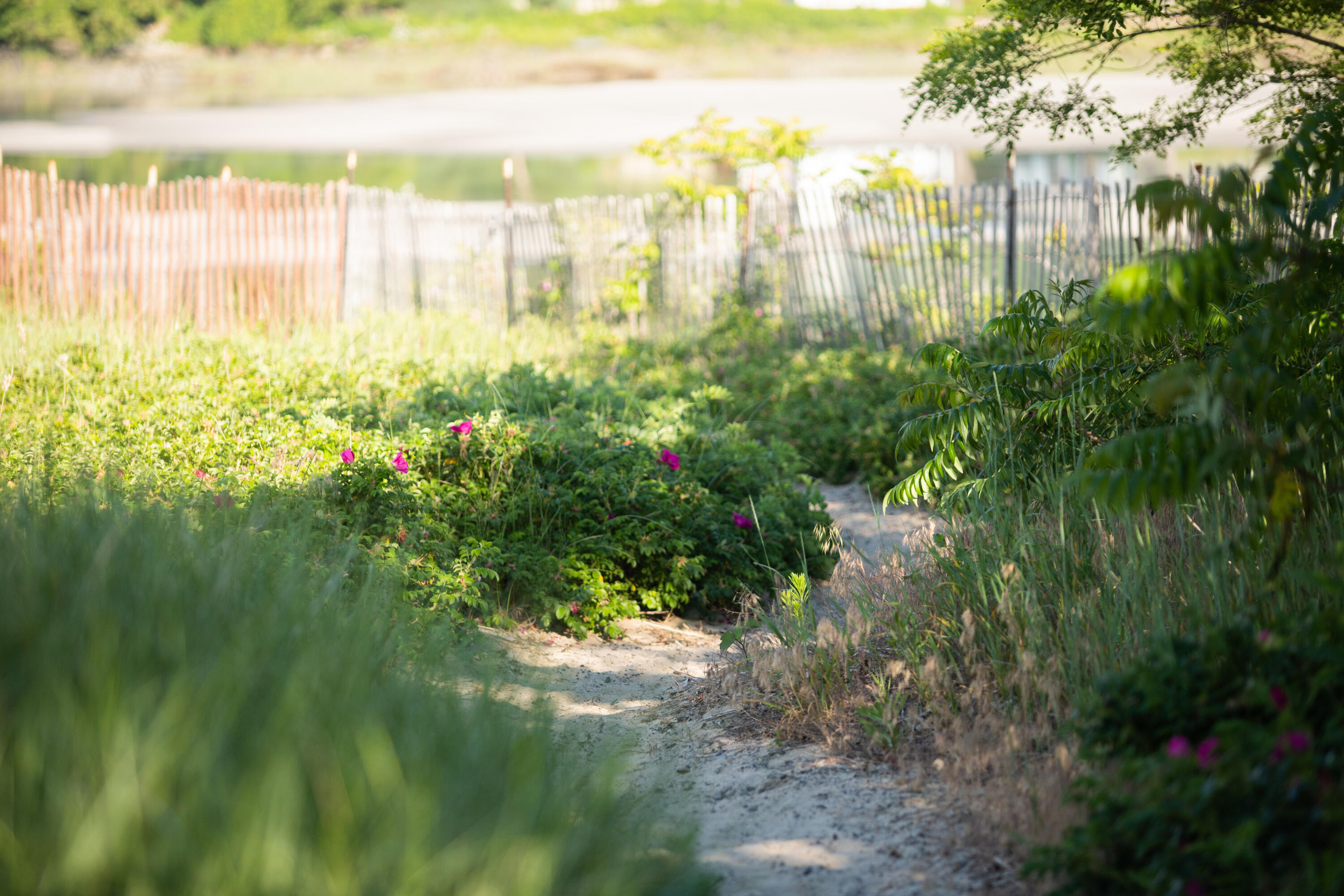 488 Main Street, Unit 7 Ogunquit, ME 03907 - Photo 29 of 57 488 Main Street, Unit 7, Ogunquit, Maine